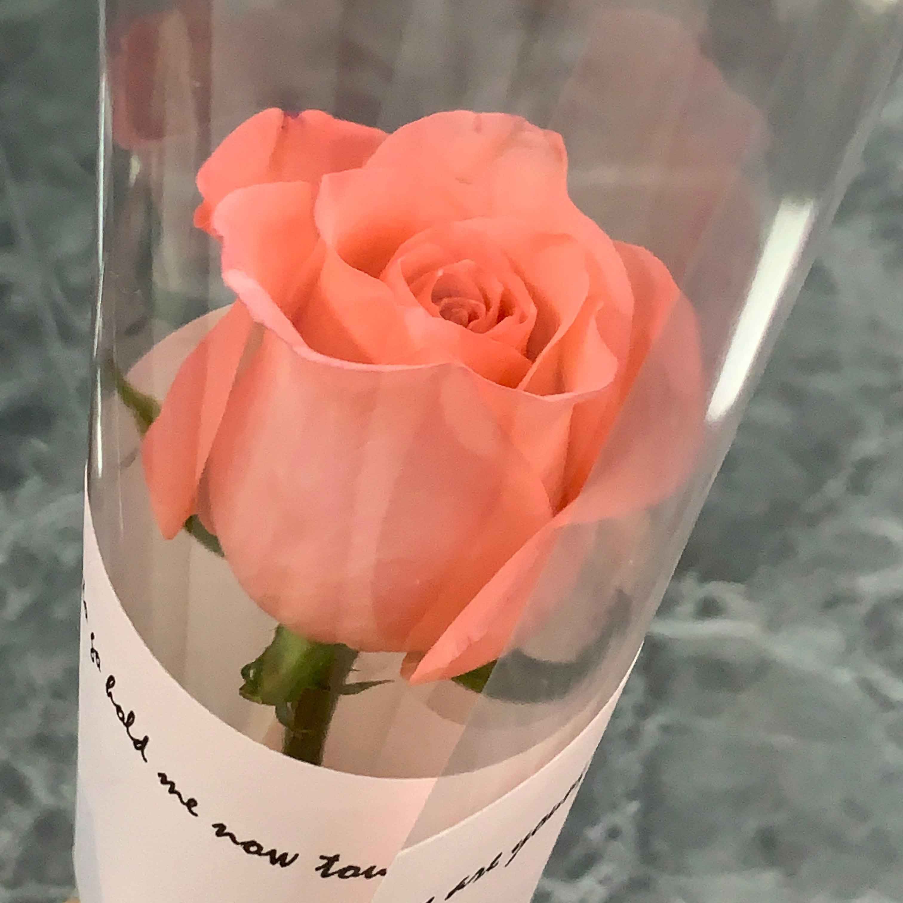 00d8869c1a7aa9def249af1b5611499 00d8869c1a7aa9def249af1b5611499