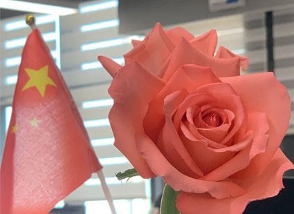 Sretan 8. ožujka Dan žena