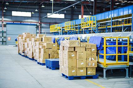 IWILL dnevna proizvodnja i dostava